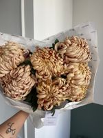 Раскидистый букет из одноголовой хризантемы КУПЕР