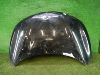 DSCN4250.jpg