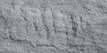 Devine Stone