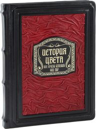 Дизайнеру