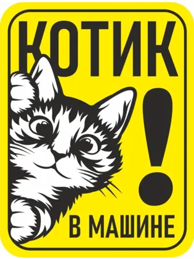 Наклейка знак на авто дети в машине с котиком