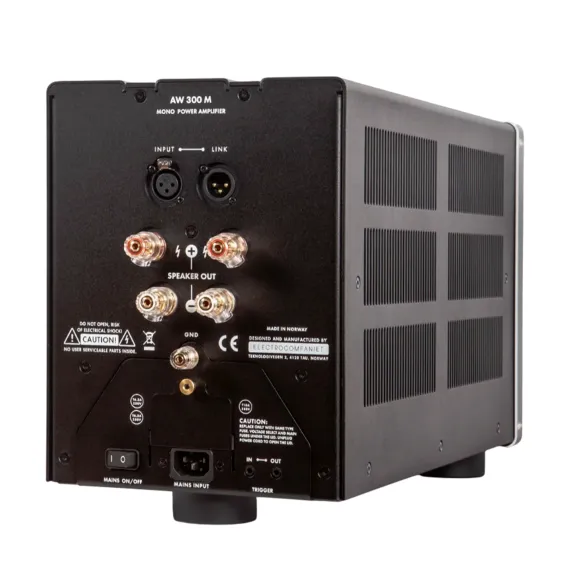Electrocompaniet AW 300М Black