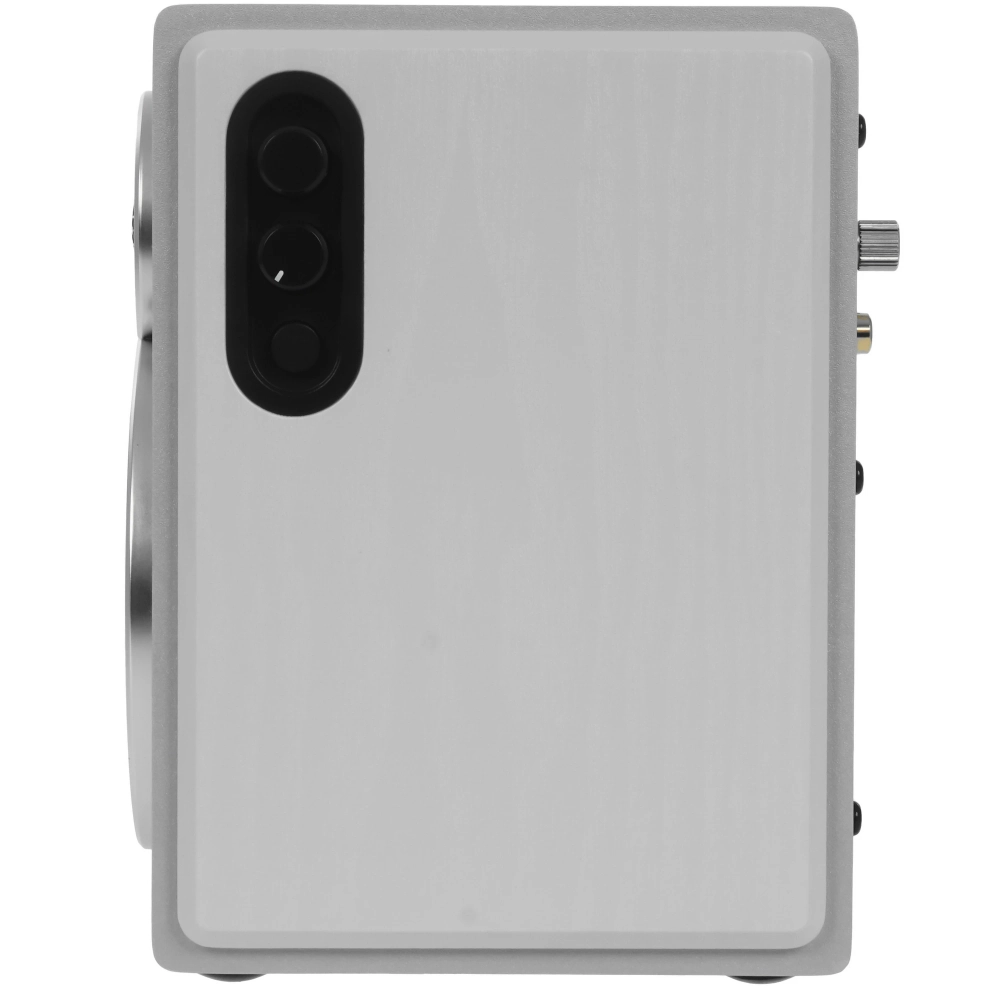 FiiO SA1 Белый [White] — активная полочная акустическая система (пара)