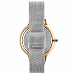 Женские наручные часы Skagen SKW2702