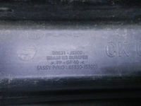 DSCN4565.JPG