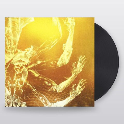 Tool — Fear Inoculum (LP)
