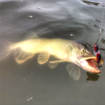 Воблер Wake Jigwobbler 93g/15cm Black Silver FS