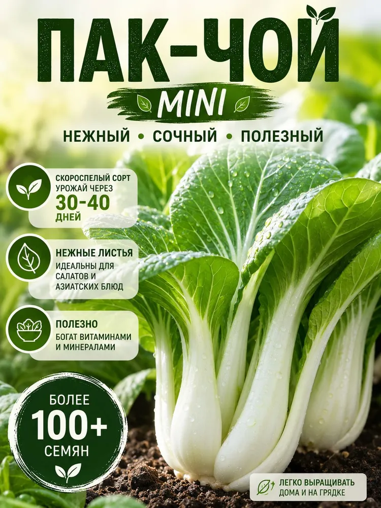 Пак-чой мини китайская капуста семена 100+ штук
