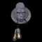 Настенный светильник Gorilla 10178 Grey Loft It