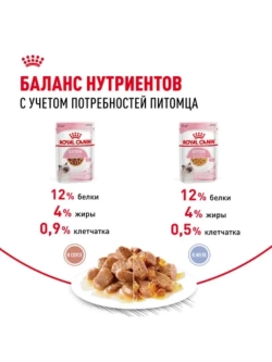 Мультипак 10 штук: Kitten в соусе и желе (5+5)