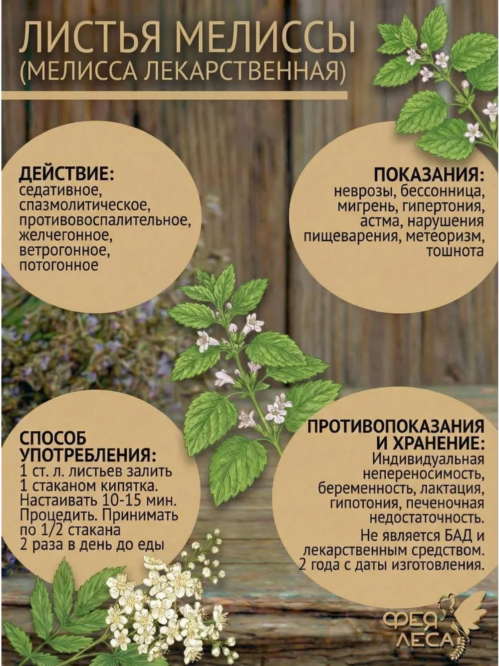 Мелисса (лимонная мята) сушеная для души, чая и творчества