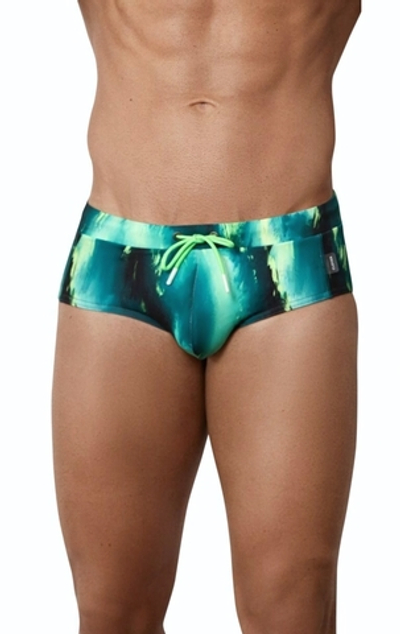 Зеленые плавки-брифы с принтом Torry Verde Swimsuit Brief (Размер: L) (Цвет: зеленый)