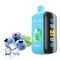 ELF BAR RAYA D3 - Blueberry Ice (5% nic)
