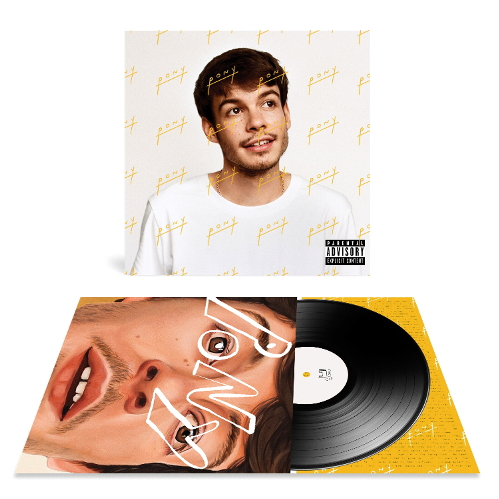 Rex Orange County / Pony (LP)