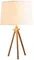 Интерьерная настольная лампа Natural LOFT7112T Loft It