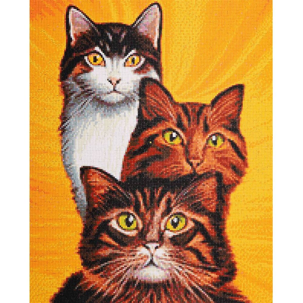 Алмазная (кристальная) мозаика Cristyle, Трио котов, 40х50 см, 624971