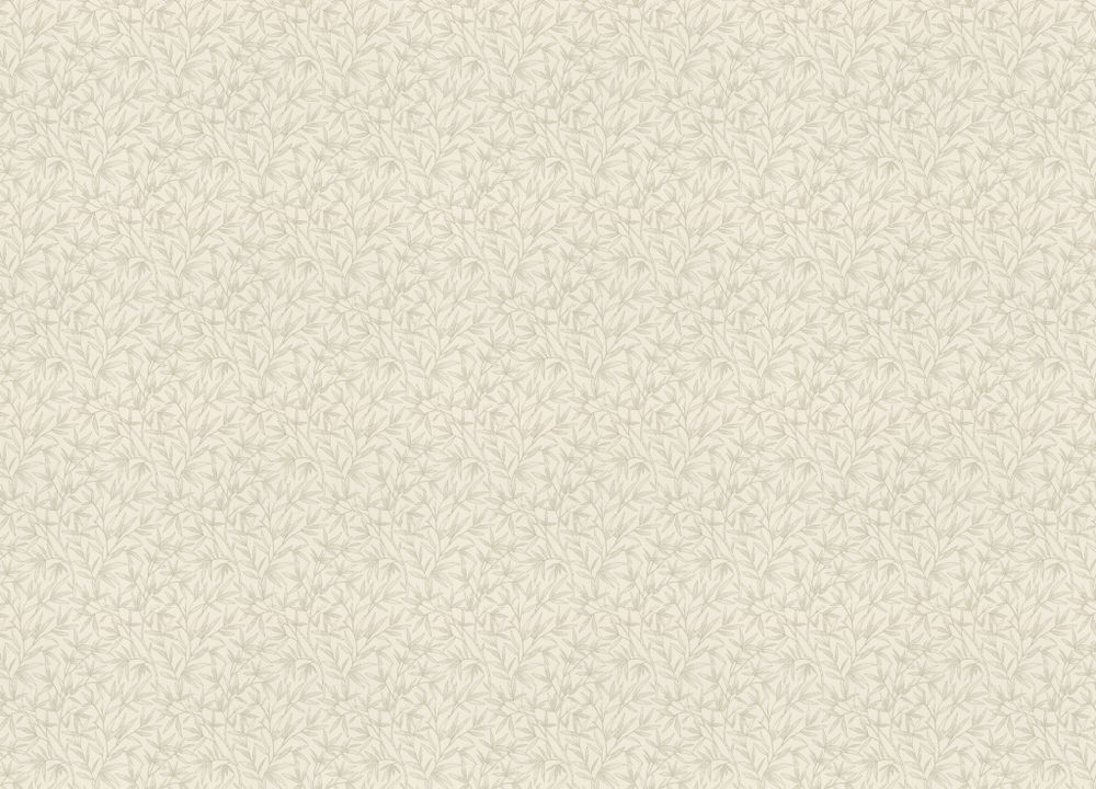 Novella
