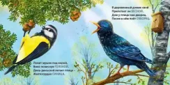 Книжки - картонки. Загадки - рифмы. Такие разные птицы
