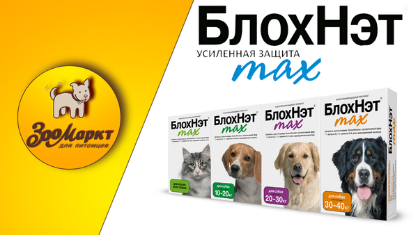 Акция препарат БлохНэт