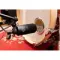 Telefunken DD4