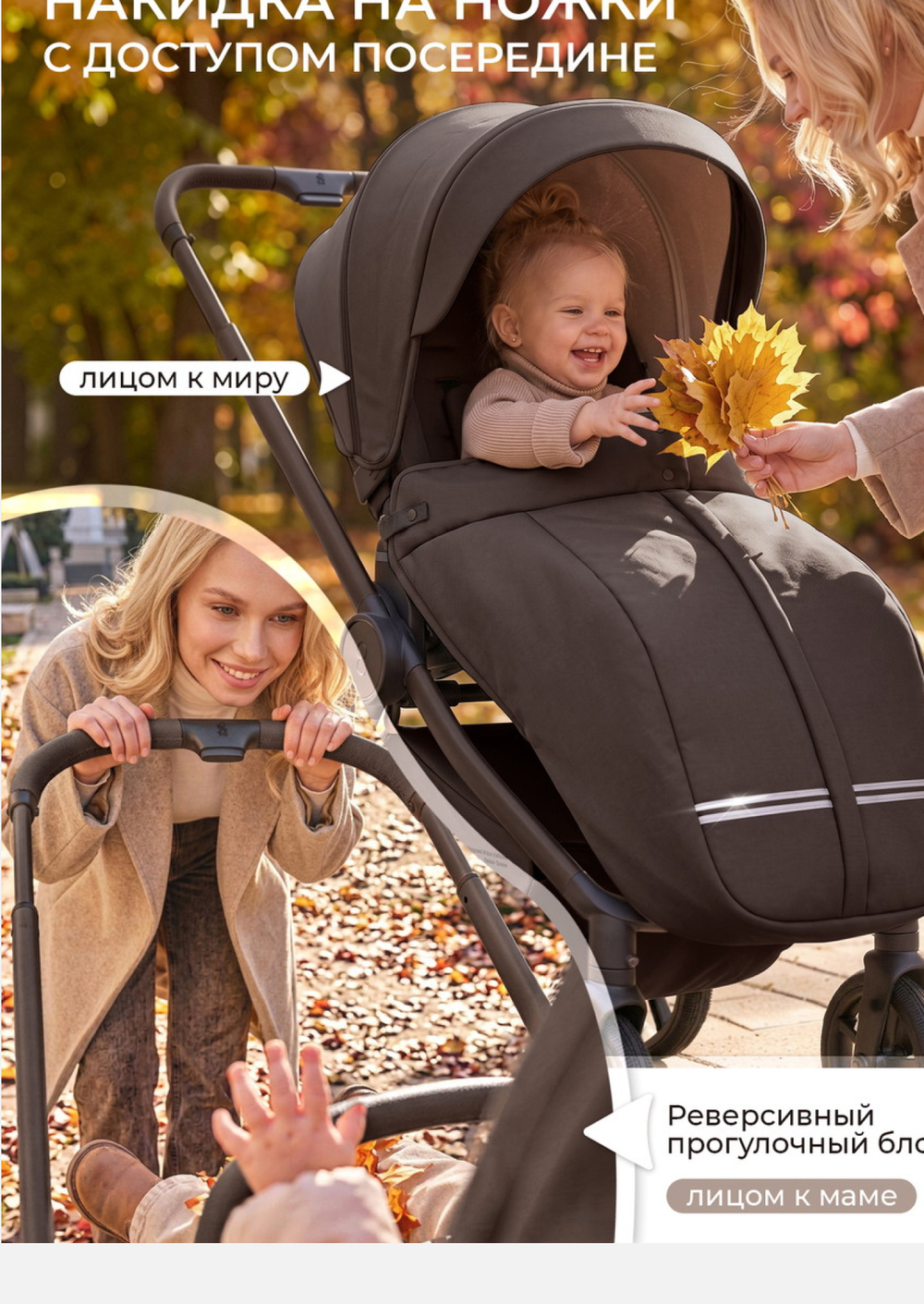 Sweet Baby Коляска 2 в 1 SBL Alba 2.0 Macadamia