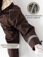 Штаны детские софтшелл демисезонные