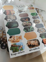 Плёнки Wraps stickers SF-28