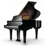 Weber Professional Grand W157
