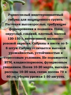 Семена Томат Звезда 0.2 гр