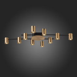 Светильник потолочный ST Luce Veroli SL1207.402.10