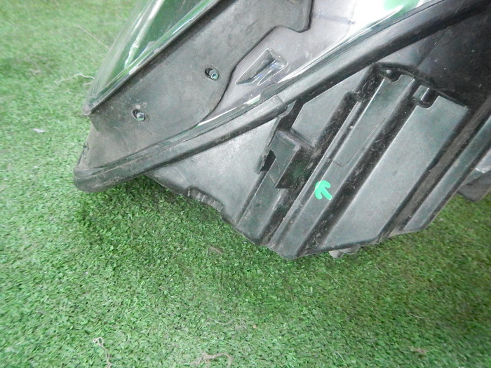 DSCN9166.JPG