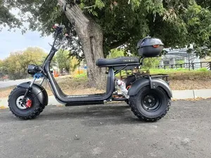 Электроскутер IKINGI X7 PRO TRIKE OFF-ROAD 3000W фото №1