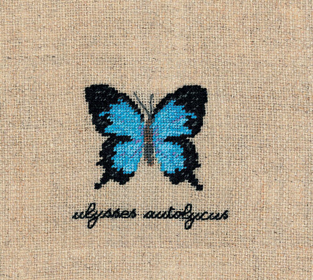 Набор для вышивания нитками Le Bonheur des Dames, Papillons Ulysses Autolycus (Бабочка Ulysses Autolycus), 5х5,5 см Набор для вышивания нитками Le Bonheur des Dames, Papillons Ulysses Autolycus (Бабочка Ulysses Autolycus), 5х5,5 см