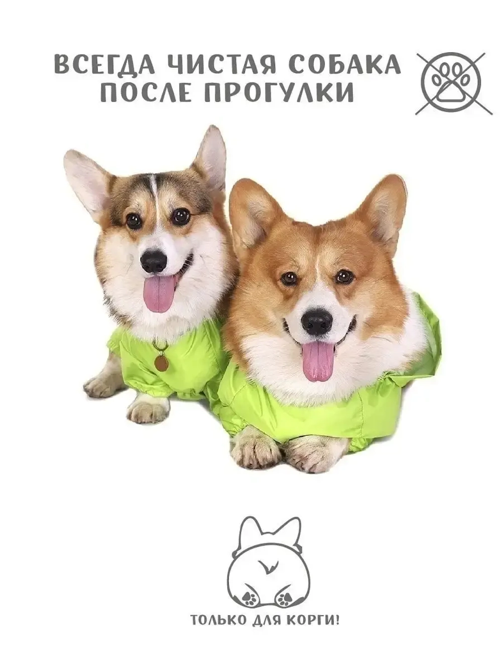 Дождевик для собак Корги комбинезон