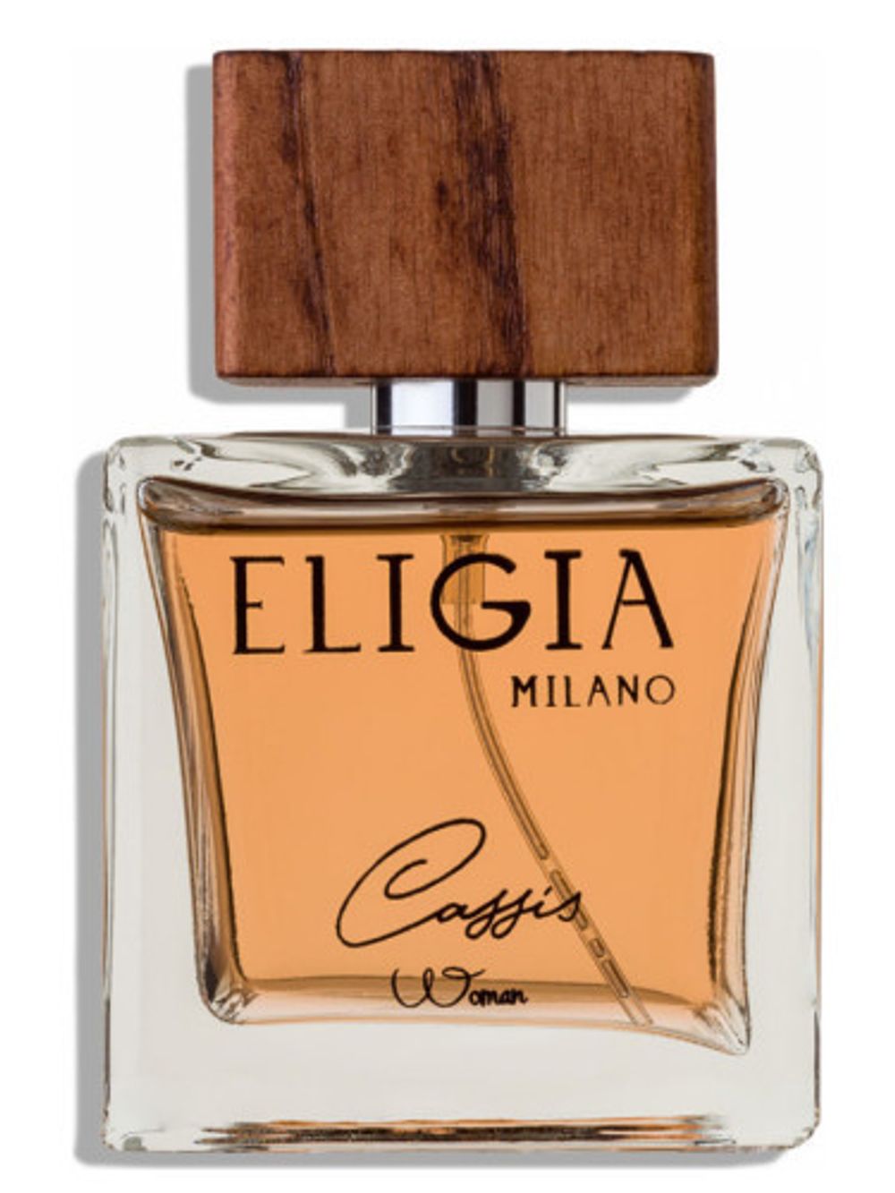 Eligia Cassis
