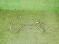 DSCN3998.jpg