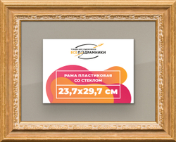 Рамка 23,7x29,7 для постера и фотографий