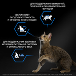 Сухой корм PRO PLAN Sterilised LONGEVIS для стерилизованных кошек 7+ индейка 3 кг