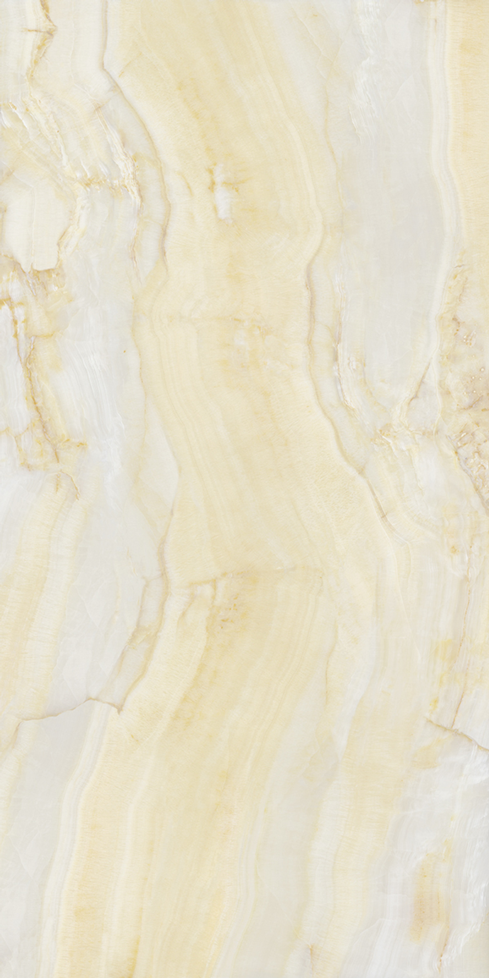 Onice Oro Lucidato (Shiny) 6 mm 150x300