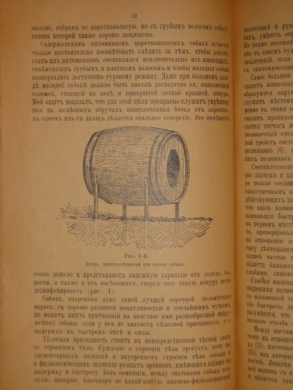 "Дрессировка и натаска подружейных собак". Г.Оберлендер. 1910г.