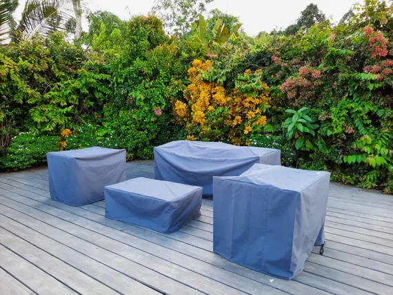 Pelican