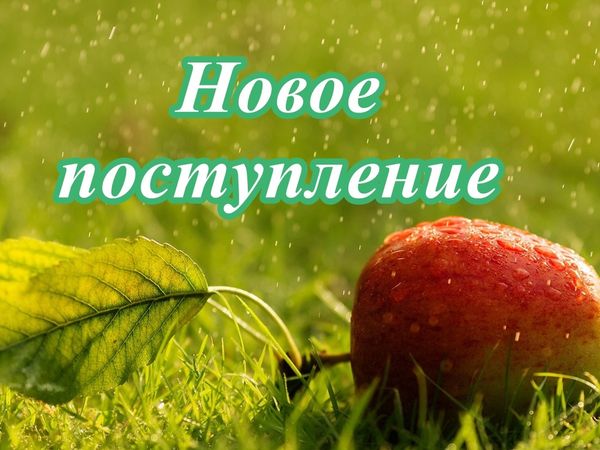 Новинки Новинки