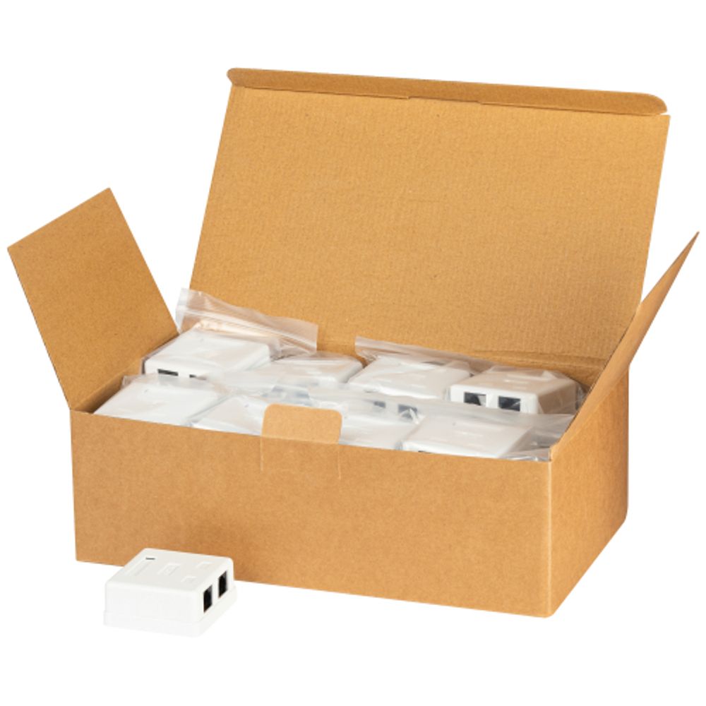 Розетка компьютерная RJ-45 ЭРА RJ02UN категория 5е неэкранированная 2-порта упаковка 30 шт | Электротовары