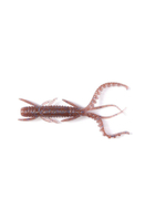 Виброхвосты съедобные искусственные LJ Pro Series HOGY SHRIMP 2,2in (05.60)/S18 10 шт. в упак.