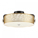 Накладной светильник Lumion Drumy 6597/40L