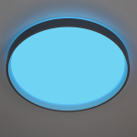 Потолочный светодиодный светильник Citilux ENZO CL753513G