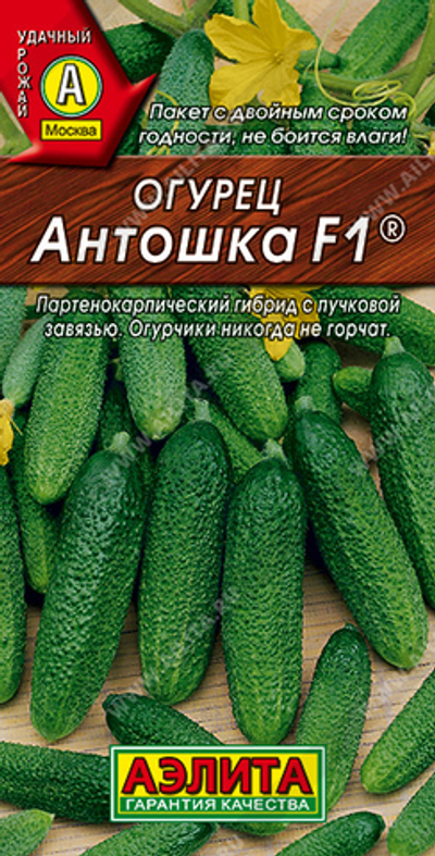Огурец Антошка F1 ®