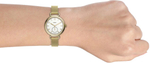 Наручные часы Fossil ES4887
