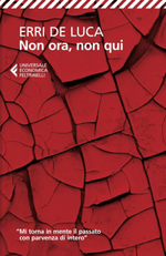 Non ora, non qui (Italian Edition)