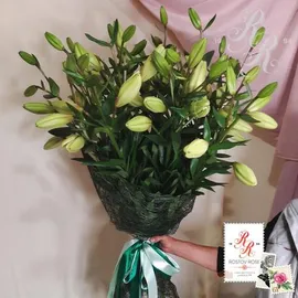 Букет Лилий